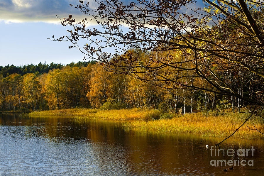 Autumn at the pond Photograph by Lutz Baar