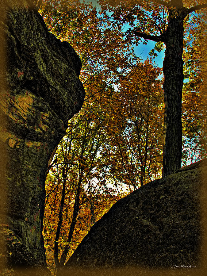 Fall Photograph - Autumn at Whipps Ledges Trail by Joan  Minchak
