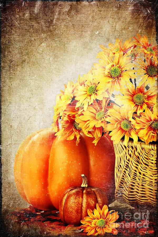 Autumn Background Photograph by Stephanie Frey