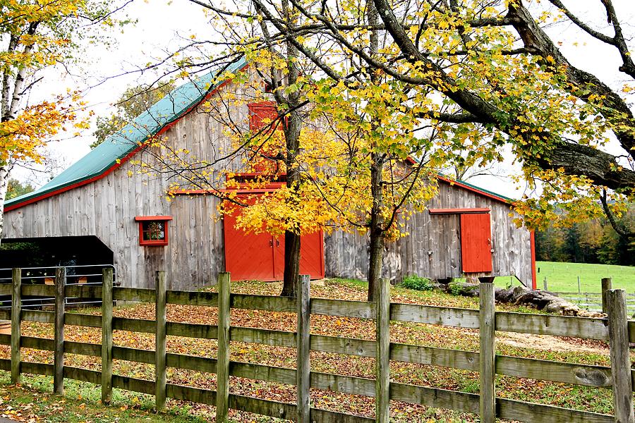 Autumn Barn Photograph by Charlene Reinauer