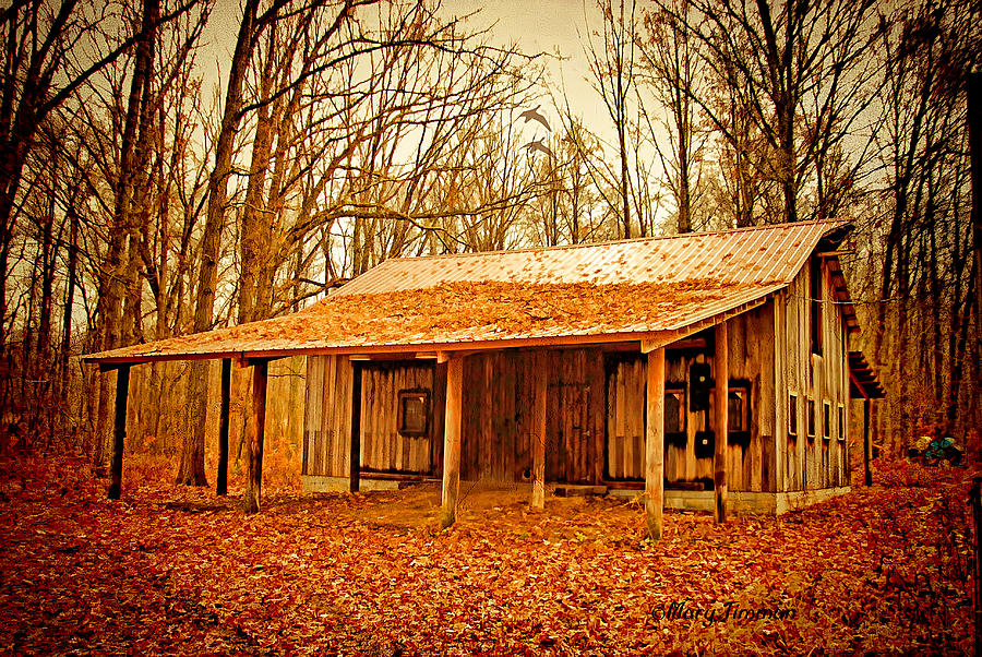 Autumn Barn Photograph by Mary Timman