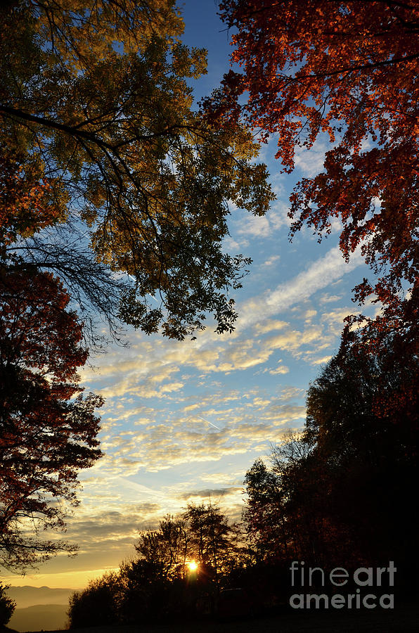 Sunset Photograph - Autumn Beauty by Bruno Santoro