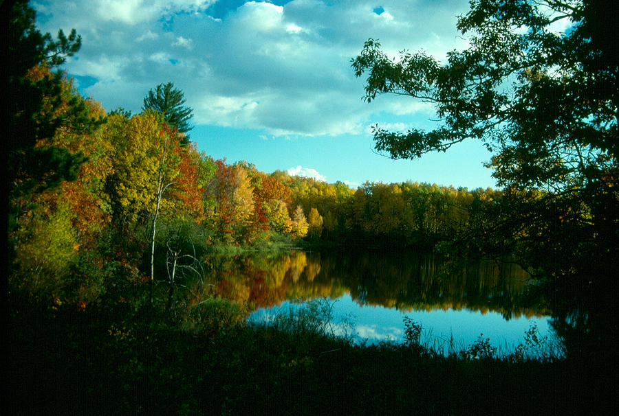 Autumn Beauty In Northwoods Photograph by Janice Adomeit