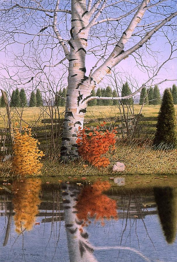 Autumn Birch at the Pond Painting by Conrad Mieschke