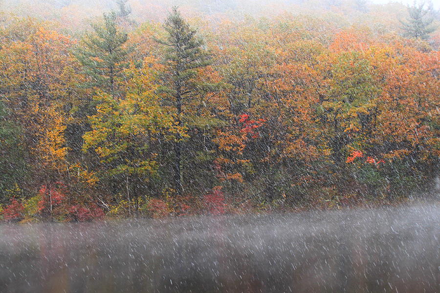 Autumn Blizzard Photograph