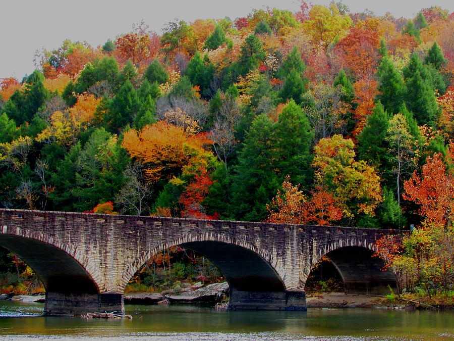 Autumn Bridge 2 Photograph by Kathy Long