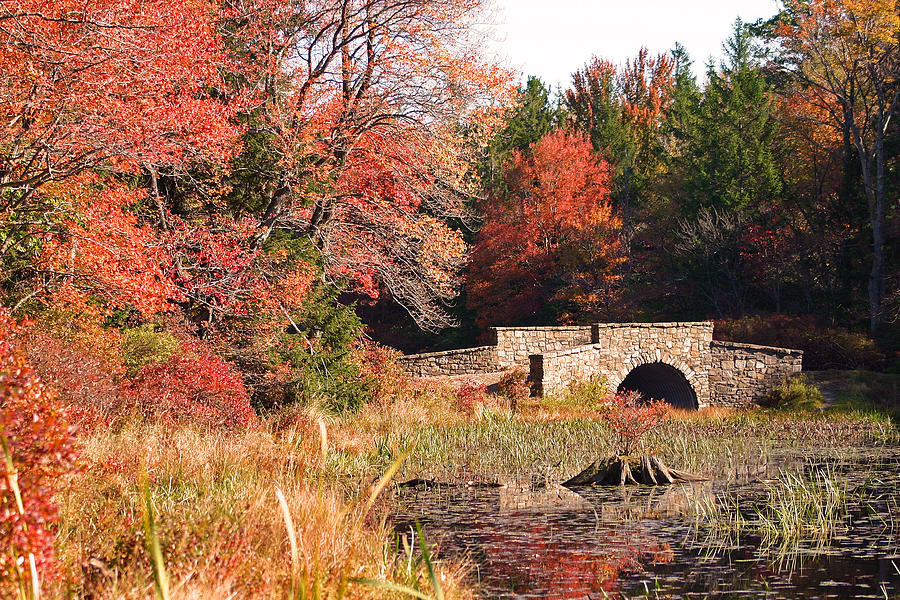 Autumn Bridge Photograph by David Rucker