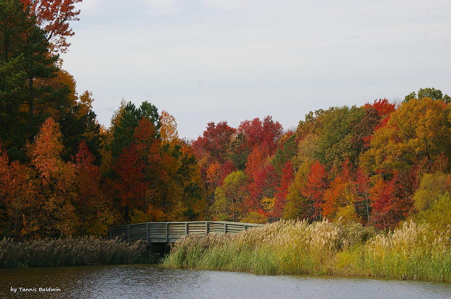 Autumn bridge Photograph by Tannis  Baldwin