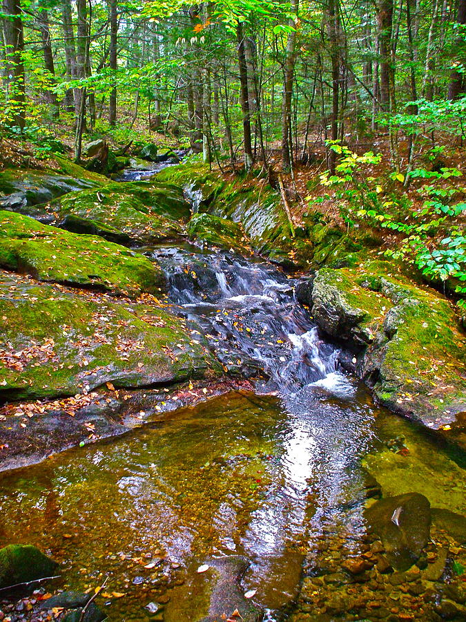 Autumn Brook 5 Photograph by George Ramos - Fine Art America