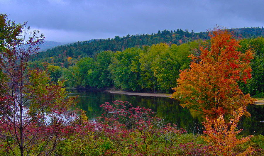 Autumn By The River Photograph by George Ramos