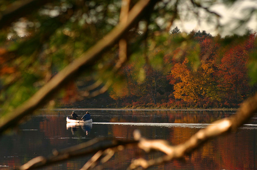 Autumn Canoe Photograph by David Rucker