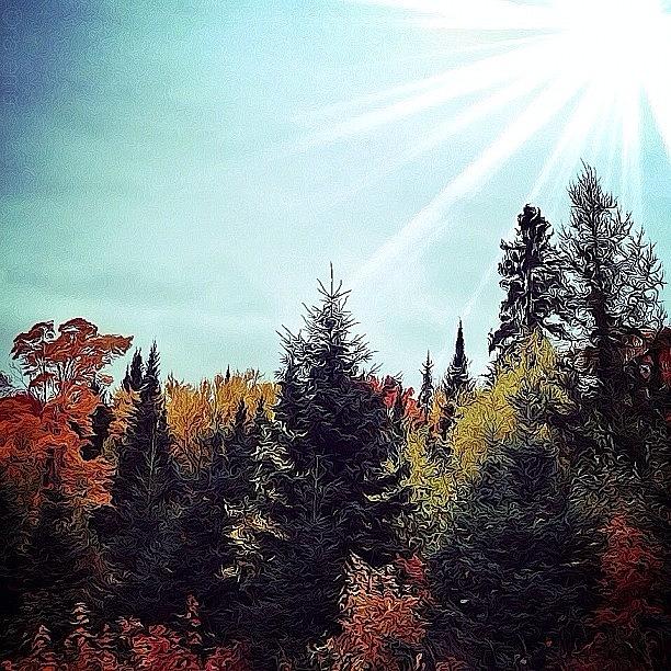 Huntsville Photograph - Autumn Canvas by Natasha Marco