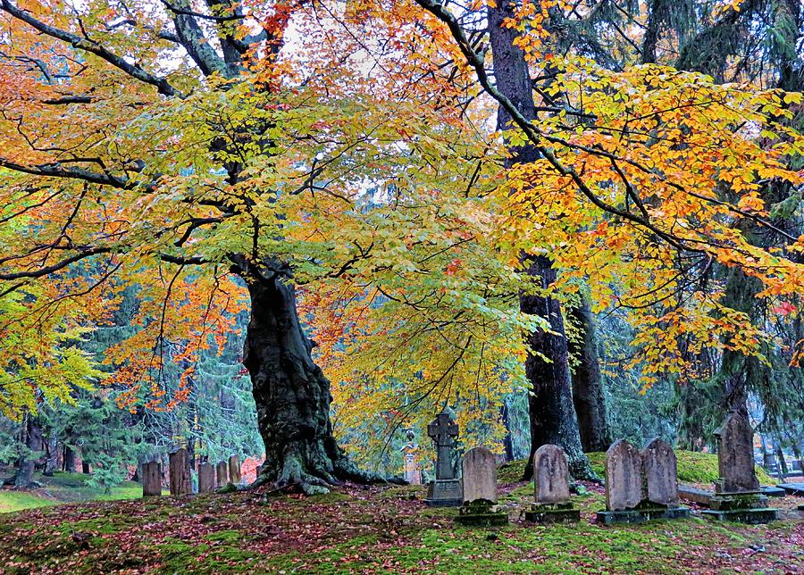 Autumn cemetery on rainy day Photograph by Janice Drew