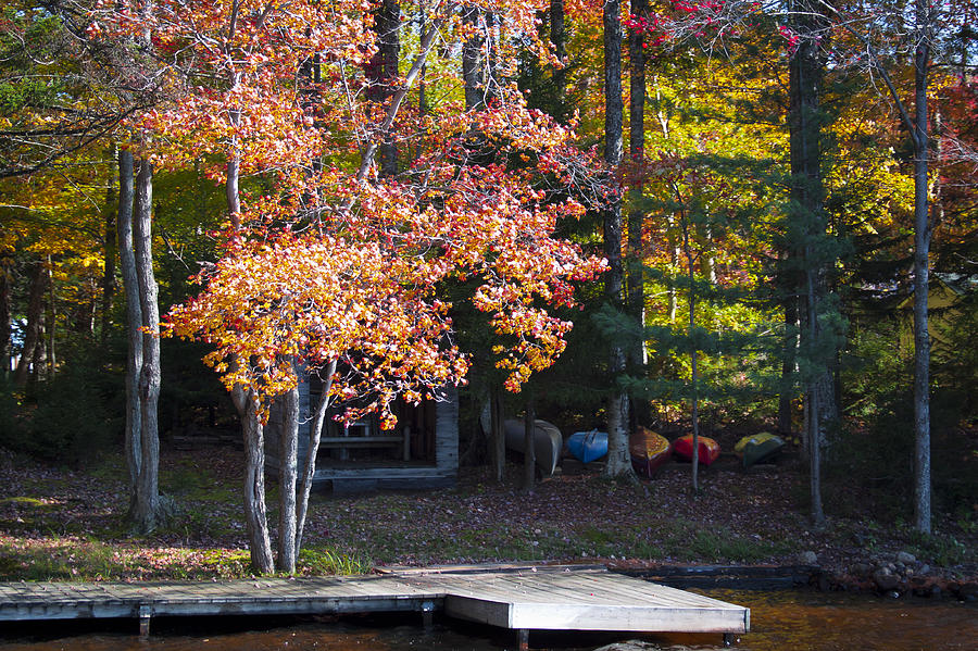Autumn Color 16 Photograph by David Patterson