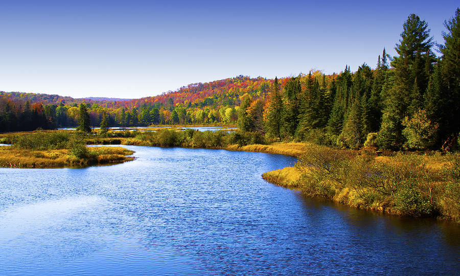 The Moose River in Thendara #4 Photograph by David Patterson
