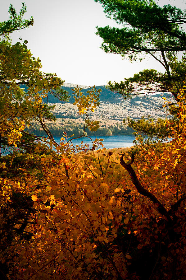 Fall Photograph - Bald Mountain View by David Patterson