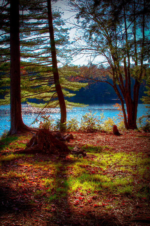 Cary Lake in the Fall #1 Photograph by David Patterson