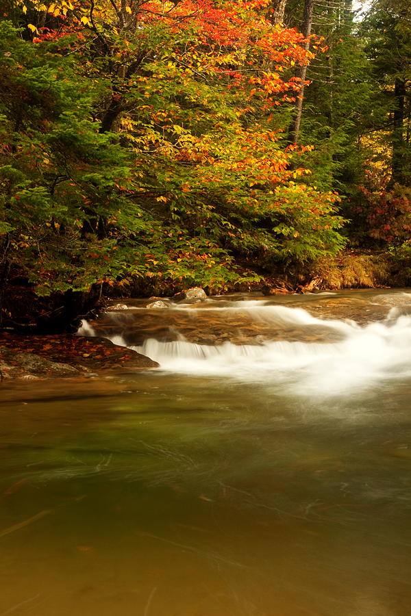 Autumn Color and River Photograph by Amanda Kiplinger - Fine Art America