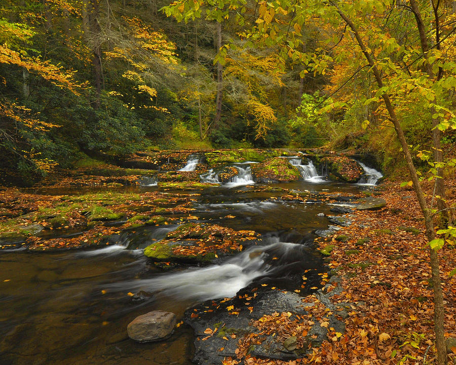 Fall Photograph - Autumn Colors - Dingmans Creek by Stephen Vecchiotti