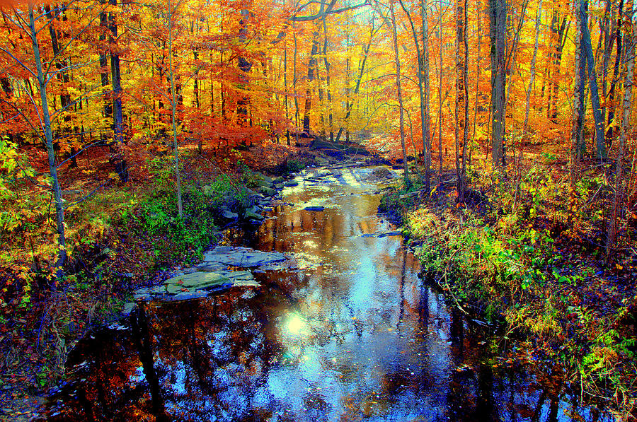 Autumn Colors 10 Digital Art by Aron Chervin