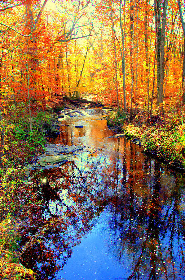 Autumn Colors 11 Digital Art by Aron Chervin