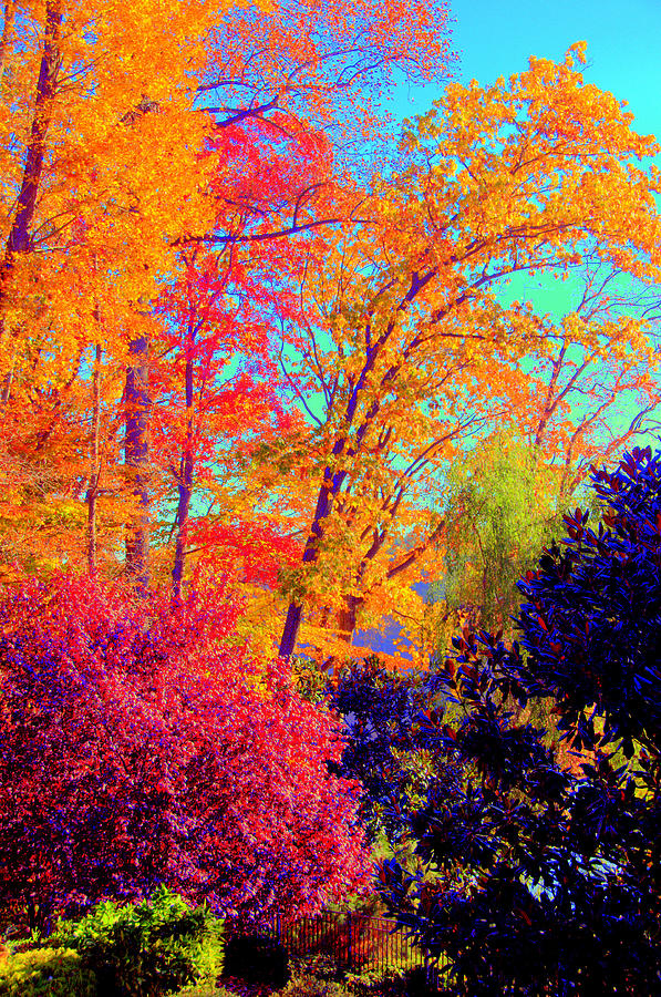 Autumn Colors 13 Digital Art by Aron Chervin