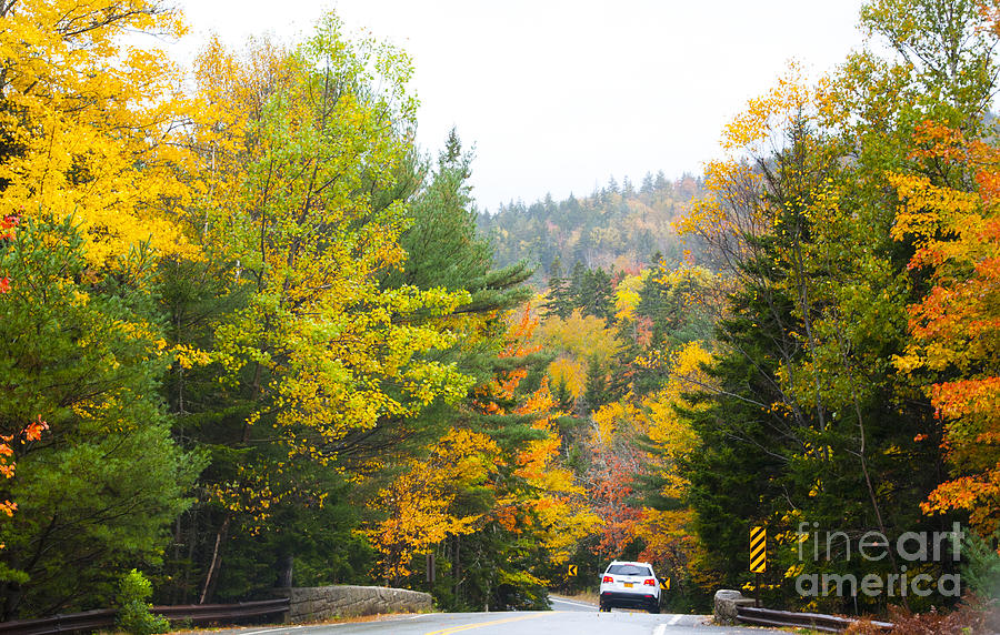 Maine Photograph - Autumn Colors 3990 by Charles Ridgway Maine Photograph - Autumn Colors 3990 by Charles Ridgway