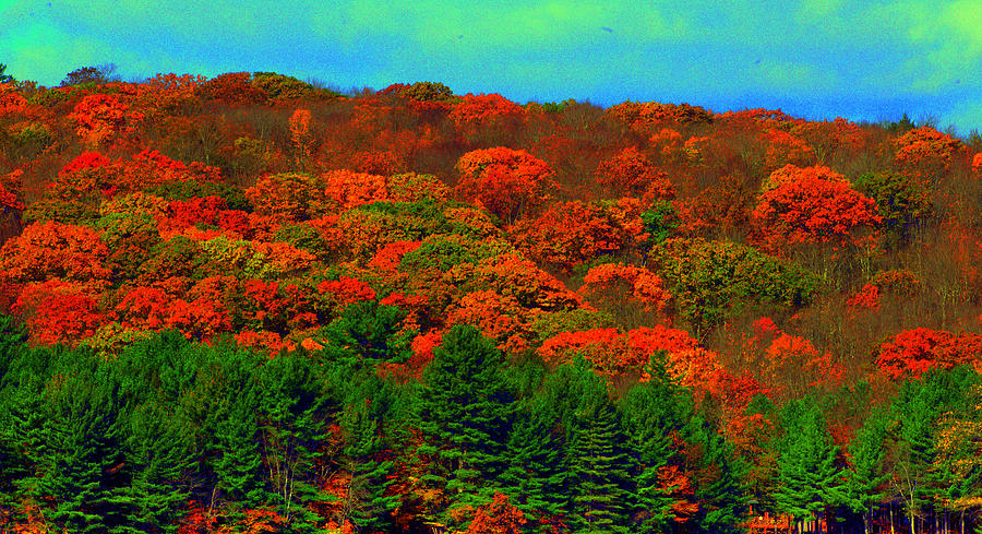 Autumn Colors 7 Digital Art by Aron Chervin
