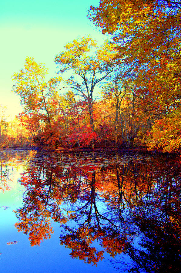 Autumn Colors 9 Digital Art by Aron Chervin