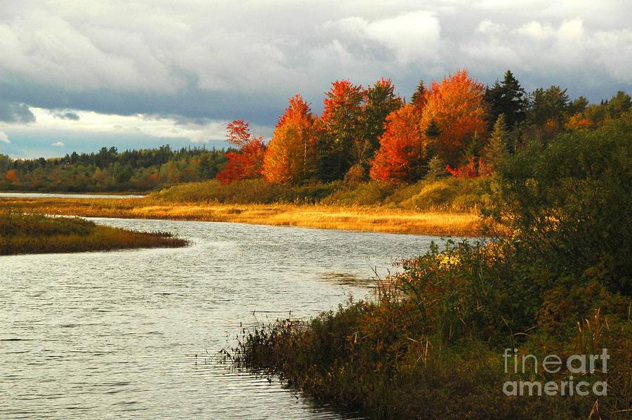 Autumn Colors Photograph by Alana Ranney
