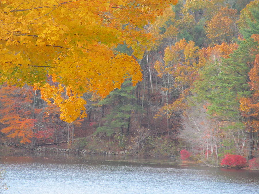 Autumn Colors at the Lake Photograph by Loretta Pokorny