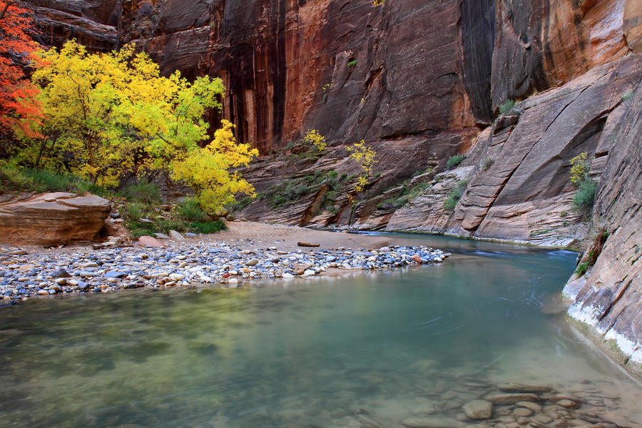 Autumn colors in the Virgin Narrows in Zion Photograph by Pierre Leclerc Photography