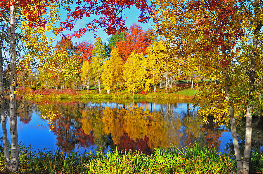 Autumn Colors Photograph by Jim Boardman
