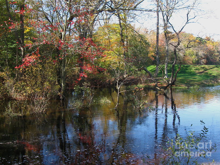 Autumn Colors on the Pond  Photograph by Nancy Patterson