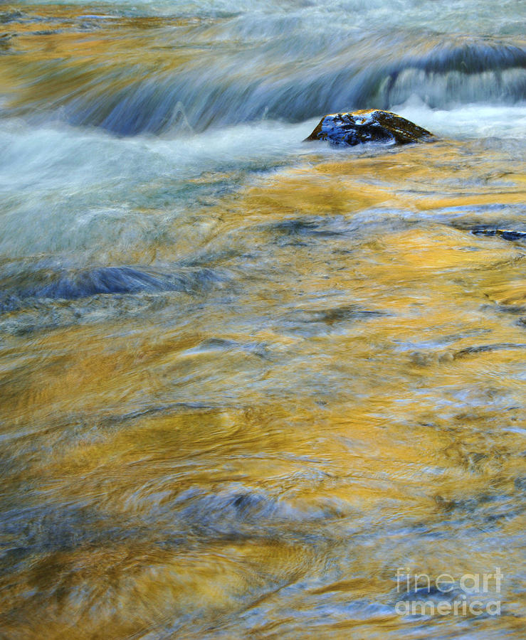 Abstract Photograph - Autumn Colors Reflected in Stream by Jill Battaglia