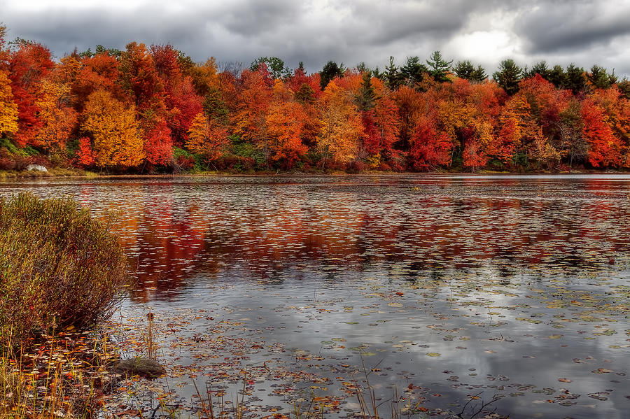 Autumn colors Photograph by Yelena Rozov