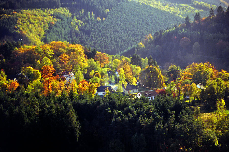 Autumn colours in the Ardenne Photograph by Rod Jones