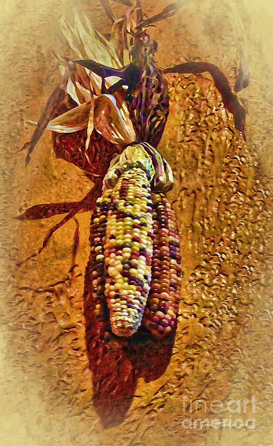 Autumn Corn Photograph