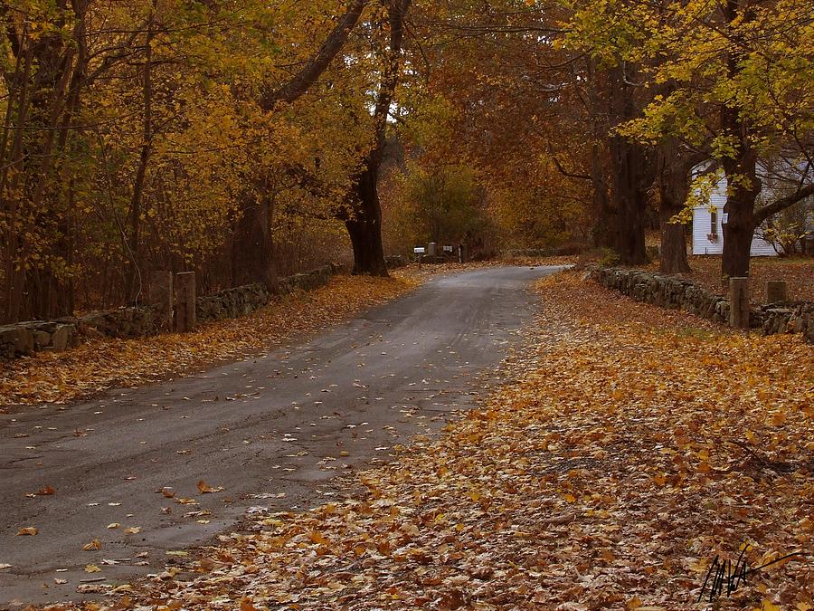 Autumn Country Road-Greeting Card Photograph by Mark Valentine