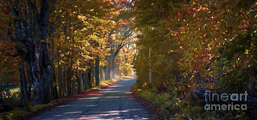 Autumn Country Road - oil Photograph by Edward Fielding