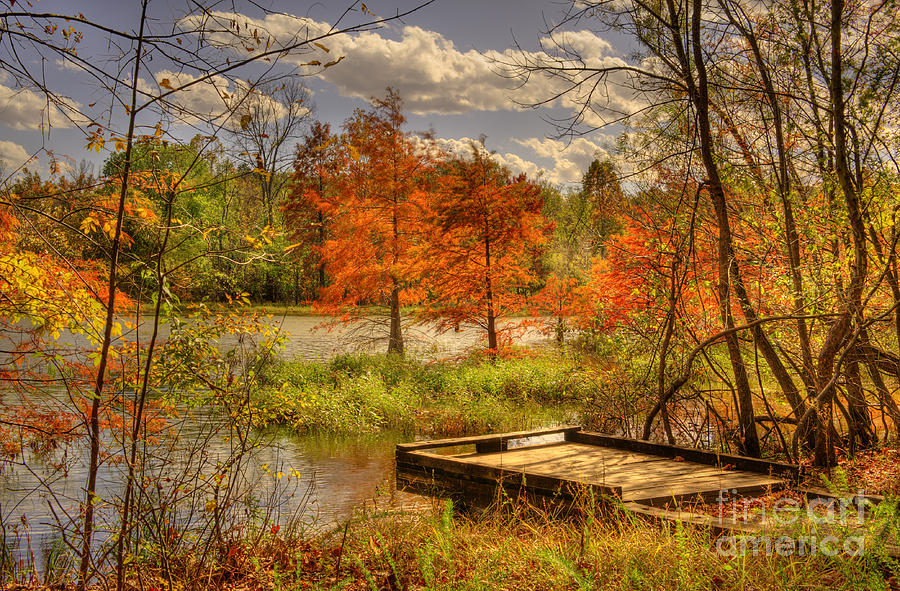 Autumn Creek Pier Photograph by Cheryl Davis