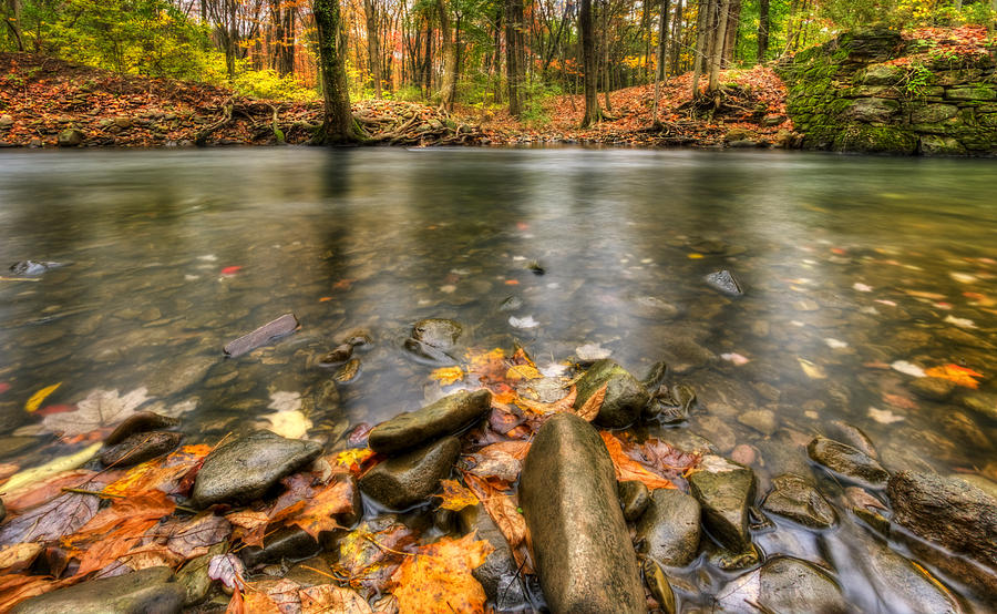 Autumn Creek Photograph by Yelena Rozov