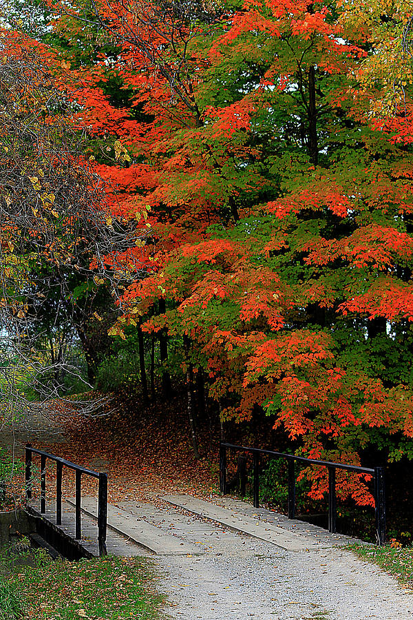 Seasons Photograph - Autumn Crossing by Scott Hovind