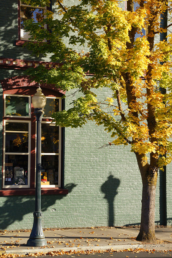 Autumn Detail in Old Town Grants Pass Photograph by Mick Anderson