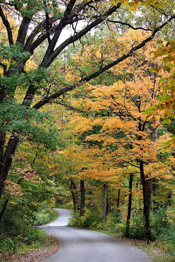 Fall Photograph - Autumn Drive by Rosanne Jordan