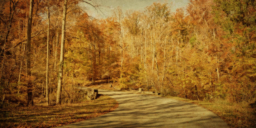 Autumn Drive Photograph by Sandy Keeton