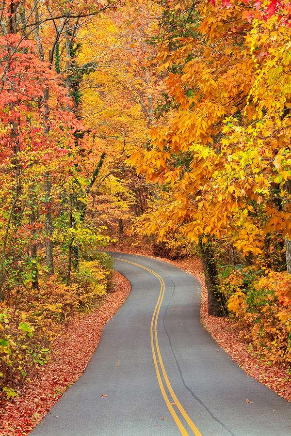 Autumn Drive Signal Mountain Photograph by Tom and Pat Cory