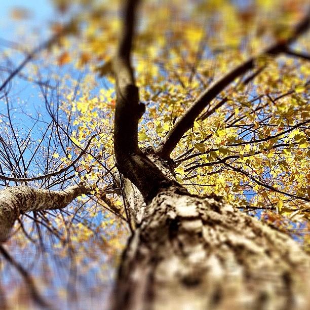 Fall Photograph - #autumn #fall #fallfoliage by James Heck