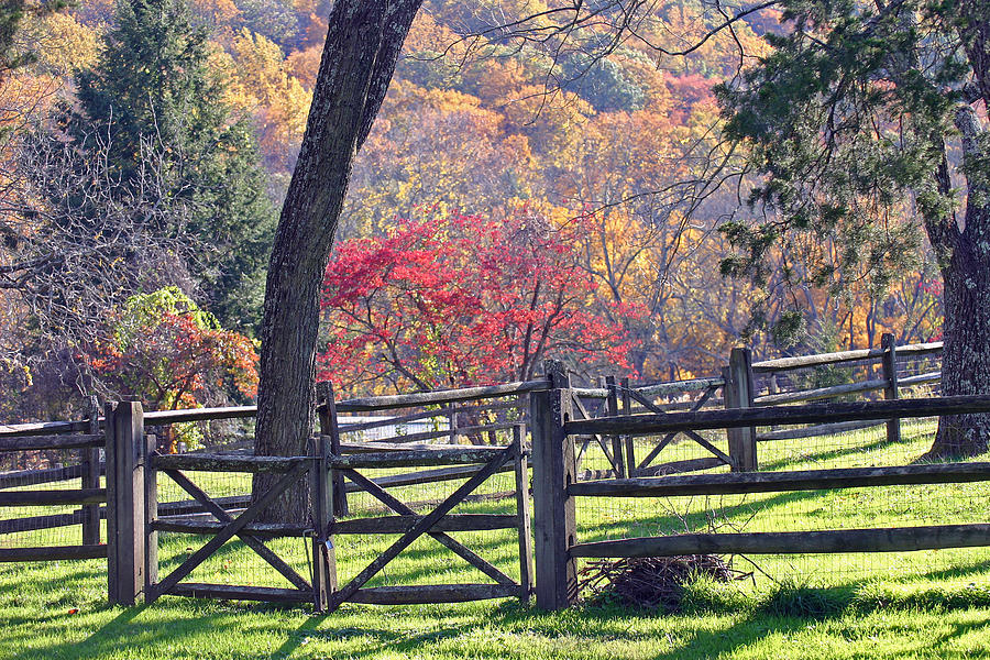 Autumn Fences Photograph by David Rucker