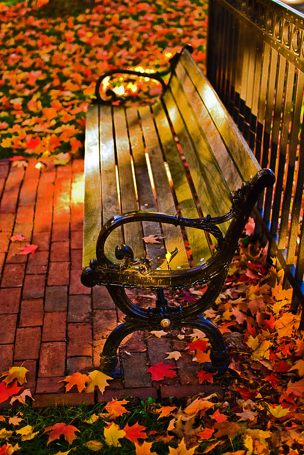 Boston Photograph - Autumn fever by Ludmila Nayvelt